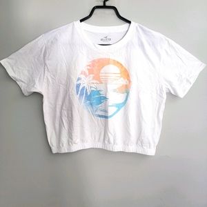 Hollister crop t-shirt